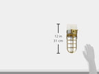 Woods L1706AB Vandal Resistant 150W Incandescent Security Light; Ceiling Mount; Antique Brass