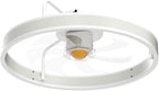 Ceiling Fans with Led Lights and Remote for Bedroom- Low Profile Flush Mount- 20” Modern Bladeless Enclosed Small Ceiling Fans with Stepless Dimming
