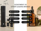 Scentiment Diffuser Oil - Top 3 Winter Collection Scent Samples | Aromatherapy Home Fragrance | Luxurious Scent with Notes of Cinnamon Vanilla, Balsam Fir, Winter Warmth (20ml)