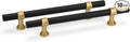 goldenwarm 10 Pack Black and Gold Cabinet Pulls 5 Inch Kitchen Cabinet Handles Black Drawer Pulls for Dresser Bathroom Modern Hardware,Zinc Alloy Base