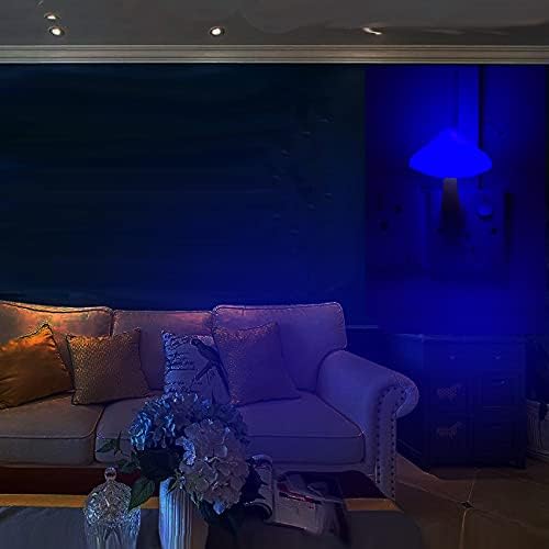AUSAYE Blue Led Lamp Mushroom Nigh Light,Plug in Nightlight,Sensor Night Lights for Kids Adults Bedroom,Bathroom,Toilet,Stairs,Kitchen,Hallway Christmas Thanksgiving Gifts