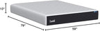 Lucid 10 Inch Memory Foam Mattress - Medium Feel - Infused with Refreshing Bamboo Charcoal and Cooling Gel - Bed in a Box - Temperature Regulating - Pressure Relief - Breathable - Queen Size