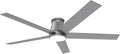 wurzee 60 Inch Flush Mount Ceiling Fan, Matte Silver Low Profile Fan Reversible DC Motors, Dimmable, Timer, Noiseless, Ceiling Fan for Indoor & Outdoor Bedrooms, Living Rooms
