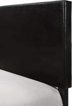Crown Mark Erin Upholstered Panel Bed in Black, Full
