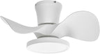 ocioc Quiet Ceiling Fan with LED Light 22 inch Large Air Volume Remote Control for Kitchen Bedroom Dining Room Patio