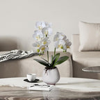 Orchid Artificial Orchids Flowers with Vase White Phalaenopsis Plant Silk Faux Orchids Fake Flowers Arrangements for Home Decoration Living Room Office Bedroom Bathroom Kitchen Dining Room