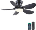 36 Inch Modern Ceiling Fans with Lights, Small Flush Mount Ceiling Fan with Light and Remote/APP Control, 5 Reversible 6 Speeds Curved Blades, 3 CCT Dimmable Lights for Bedroom, Black