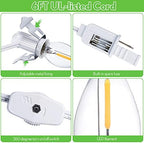 2 Pieces Accessory Cord with One LED Light Bulb Lamp Kit, 6Ft Christmas Village Lights Cord with On/Off Switch and Spare Fuse, Blow Mold Light for Christmas Houses Village, Holiday Craft Decorations