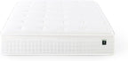 ZINUS 13 Inch Euro Top Pocket Spring Hybrid Mattress, King, Pressure Relief, Pocket Innersprings for Motion Isolation, Mattress in A Box