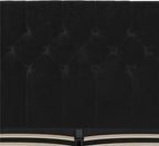 Novogratz The Her Majesty Upholstered Bed, Queen, Black Velvet