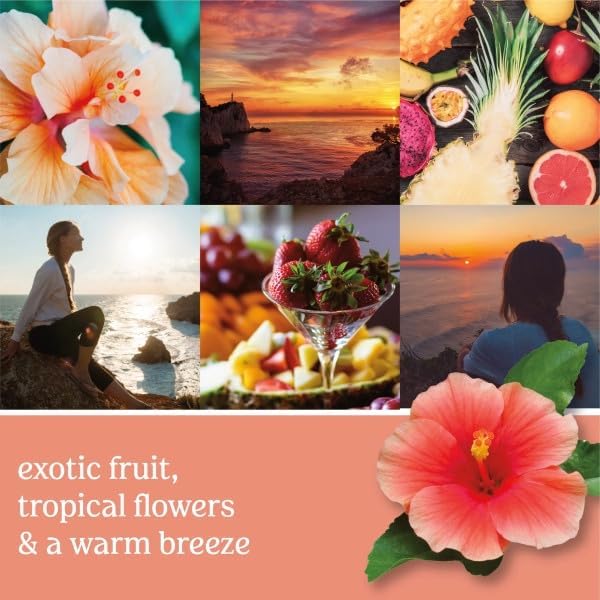 Yankee Candle Scent Plug Refill, Cliffside Sunrise (Pack of 4)
