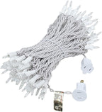 Novelty Lights 50 Feet 100 Bulb Incandescent Mini Light String, Clear with 6-Inch Spacing on White Wire, UL Listed Commercial Grade Indoor/Outdoor Mini Lights, Connectable End-to-End