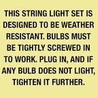 Feit Electric 72041 30 Foot Heavy-Duty Weather Resistant Decorative Indoor and Outdoor 10 Sockets Incandescent String Lights, 30', 11W, Dimmable,Black