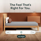 Siena 6" California King Foam Mattress - Medium Firm - 180 Night Trial - Premium Pressure-Relieving Layers - 10 Year Warranty - Mattress in a Box - CertiPUR-US Certified
