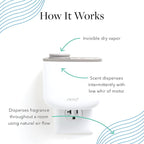 Aera In Bloom Home Fragrance Scent Refill - Plumeria and Jasmine - Works with Aera Diffuser, Limited Edition