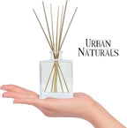 Urban Naturals Holiday Cheer Reed Diffuser Set – Cranberry, Cinnamon, Evergreen, Cedar & Smokey Wood – Made with Essential Oils – Sleek Rectangular Refillable Glass Bottle – Made in The USA