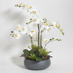 CG Hunter Faux Orchid Plant w/Succulents, Premium Artificial Indoor Flower Display Stands 24” w/Beautiful Sculptural Blooms and Succulents That Lasts Forever, Grey Planter Pot Included