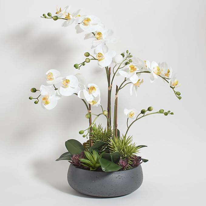CG Hunter Faux Orchid Plant w/Succulents, Premium Artificial Indoor Flower Display Stands 24” w/Beautiful Sculptural Blooms and Succulents That Lasts Forever, Grey Planter Pot Included