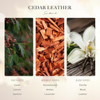 Scentiment Diffuser Oil - Cedar Leather Fall Collection | Aromatherapy Home Fragrance | Luxurious Scent with Lemon, Jasmine Sandalwood, Amber, Lavender, Vanilla, & Musk (50ml)