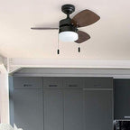 Honeywell Ceiling Fans Ocean Breeze Modern 30 Inch Ceiling Fan with Light, Pull Chain LED Indoor Fan with 3 Blades, Dark Brown Chestnut and Light Oak Blade Finish Options, Bronze (50602-01)