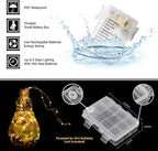 2 Pack 20ft 60 Led Fairy Lights with Remote Timer Waterproof Christmas Decor Battery Operated Twinkle Firefly Lights for Bedroom, Garden, Easter, Party, Christmas Indoor and Outdoor Decorations
