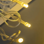 YULETIME 100 ft 300 Count Warm White LED String Lights with Adapter, Clear Wire Wide Angle 5mm Christmas Light (Warm White)