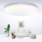 zemty LED Ceiling Light Flush Mount Super Slim 9 Inch 24W 2400lm Ceiling Lights with 3 Color Temperature in One 3000k/4500k/6000K - Round Flat Light Fixture for Kitchen Hallway (1Pack, White)