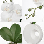 Briful Artificial Orchid White Flowers in Modern Ceramic Vase 15.7" Tall Faux Orchid Arrangement Silk Orchid Flower Fake Orchid Centerpiece for Home Office Room Wedding Table Décor