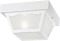 Westinghouse 6697500 Traditional One-Light Outdoor Flush-Mount Fixture, White Finish on Polypropylene, Frosted Glass Panels
