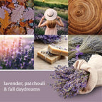 Yankee Candle Scent Plug Refill, Dried Lavender & Oak (Pack of 1)