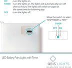 QBIS Warm White Fairy Lights Battery Operated with Timer Mode, 40 Micro LEDs for Mason Jars, 6.5ft, Silver Wire Lights Indoor Use (Warm White) - 2 Pack