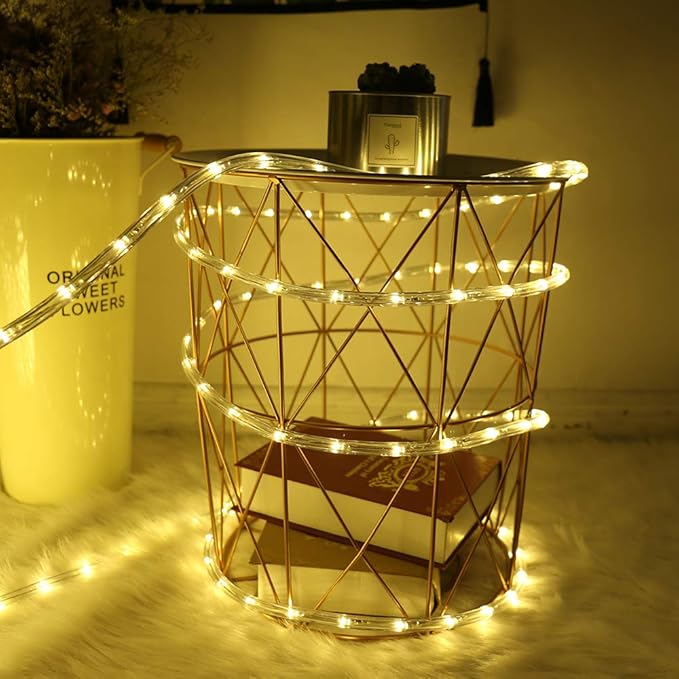 100 Feet 720 LED Rope Lights,2-Wire Low Voltage Waterproof Rope Lights Outdoor,Indoor Background Lighting Idear for Trees,Bridges,Eaves,Pool,Wedding Use(Warm White)