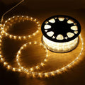 100ft LED Rope Lights, 720Led Warm White Rope Lights for Outside, Connectable Rope Light, Indoor Outdoor Rope Lights Waterproof for Party, Wedding, Background, Trees, Pool, Eaves Decorations