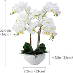 Ziwon Artificial Orchid Flowers Potted in Ceramic Pot, White Faux Phalaenopsis Orchids for Table Centerpiece, Realistic Fake Flower in vase for Home Office Decor Indoor