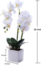 Orchids Artificial Fake Flowers with Vase for Table Centerpieces, Fake Orchids in Pots Orquideas Real Touch Flowers Large Vivid Faux Phalaenopsis White Orchid Plant Indoor Room Decoration