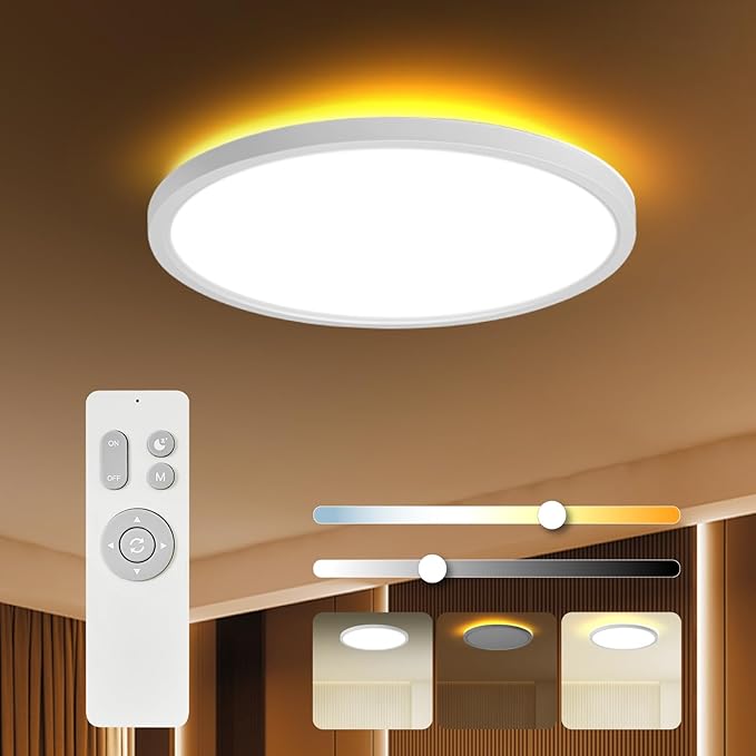 TALOYA Flush Mount Ceiling Light with Remote,3000K-6500K Adjustable,2000K Nightlight,12 Inch, Led Low Profile Ceiling Lights for Bedroom, Living Room, Kitchen, White