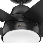 Hunter 51314 Aerodyne Ceiling Fan 52 inches Matte Black