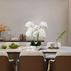 Ziwon Artificial Orchid Flowers Potted in Ceramic Pot, White Faux Phalaenopsis Orchids for Table Centerpiece, Realistic Fake Flower in vase for Home Office Decor Indoor