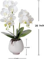 Orchid Artificial Orchids Flowers with Vase White Phalaenopsis Plant Silk Faux Orchids Fake Flowers Arrangements for Home Decoration Living Room Office Bedroom Bathroom Kitchen Dining Room
