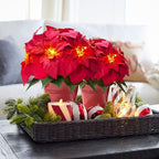 2 Pack Lighted Artificial Poinsettias for Outdoors LED Poinsettia Flowers Artificial Faux Poinsettia Plants Poinsettia Christmas Decorations for Holiday Home Kitchen Decor(10 inch)