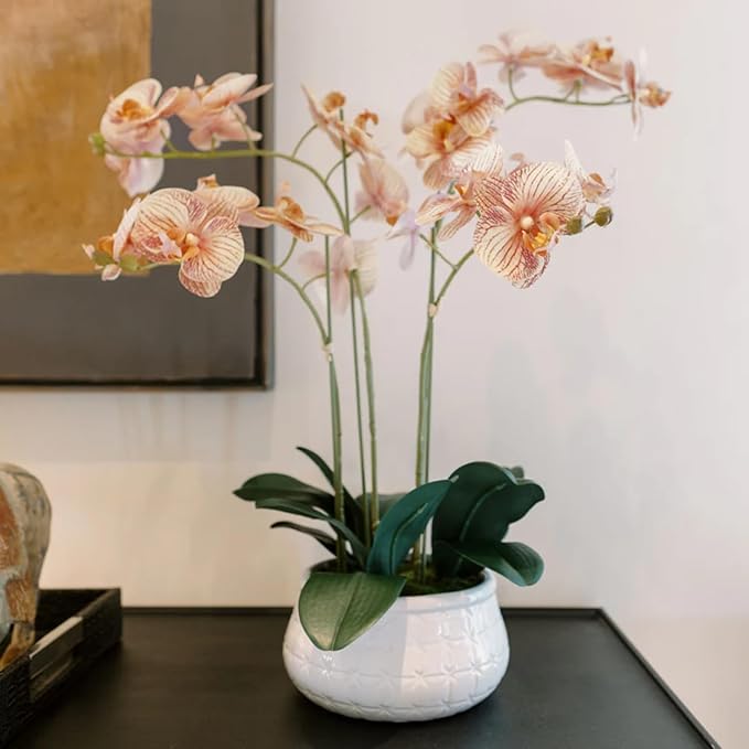 CG Hunter Faux Orange Orchid Plant, Premium Artificial Indoor Flower Display Stands 23”, Beautiful Sculptural Blooms That Lasts Forever, White Planter Pot Included