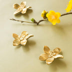 Petal Knobs Brushed Gold Cabinet Knobs, Dresser Drawers Knob Cute Handle Hardware Door Knobs, 8 Pack
