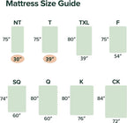 ZINUS 12 Inch Green Tea Memory Foam Mattress, Queen, Fiberglass Free, Patented Custom Contour Support, Sturdy Base Foam, CertiPUR-US Certified, Mattress in A Box, White
