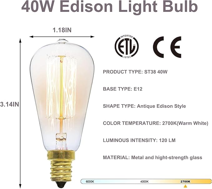 Wax Melt Warmer,Edison Light Bulb Candle Wax Burner,Electric Wax Warmer,Wax Warmer for Scented Wax,Candle Wax Warmer for Home Office Gifts & Decor