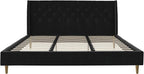 Novogratz The Her Majesty Upholstered Bed, King, Black Velvet