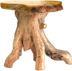 WELLAND Natural Tree Stump Stool, 19'' Tall Side Table, Live Edge Stool, Natural Edge End Table, Accent Table, Plant Stand for Living Room, Bedroom,