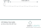 QBIS Warm White Fairy Lights Battery Operated with Timer Mode, 40 Micro LEDs for Mason Jars, 6.5ft, Silver Wire Lights Indoor Use (Warm White) - 2 Pack
