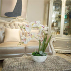 Large Artificial Potted Orchid Plant, Silk Flower Arrangement with Ceramics Vase, White