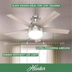 Hunter 46 inch Indoor Ceiling Fan with LED Light - Ceiling Fan with Pull Chain, For Bedroom, Living Room, or Kitchen, Low Profile Mount, No Remote, 5 Blades - Anslee 50278, Brushed Nickel