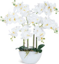 Ziwon Artificial Orchid Flowers & Plants Potted in Ceramic Pot, White Faux Phalaenopsis Orchids for Table Centerpiece, Realistic Fake Flower Arrangement for Home Office Decor Indoor